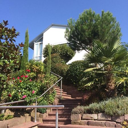 Ferienwohnung Palmenalm Bad Orb Buitenkant foto