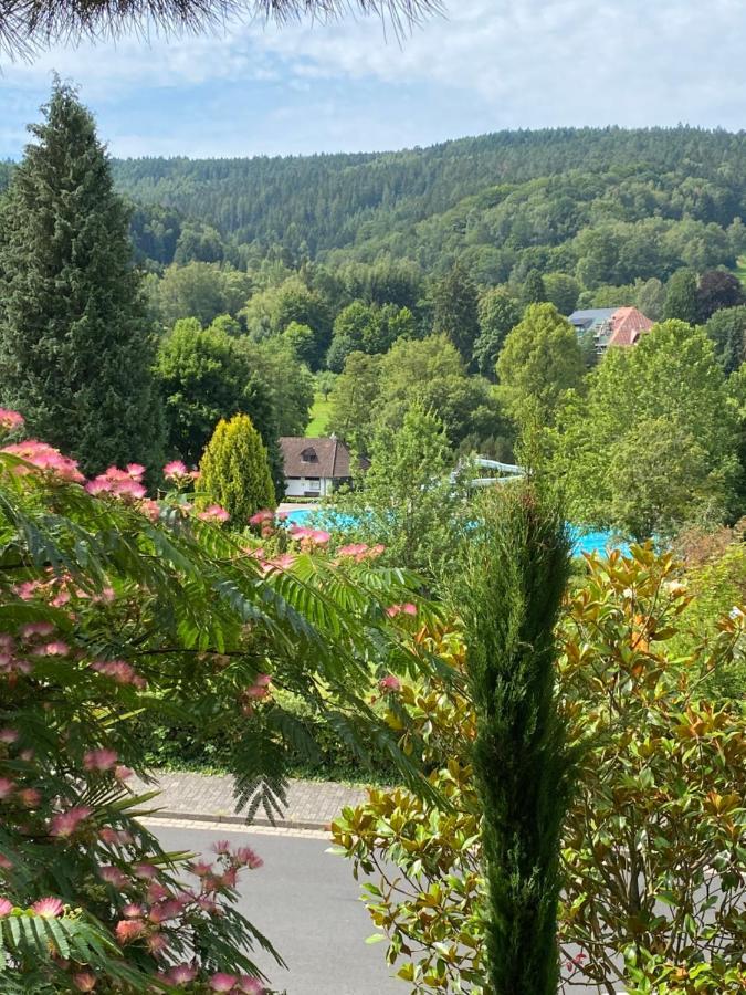 Ferienwohnung Palmenalm Bad Orb Buitenkant foto
