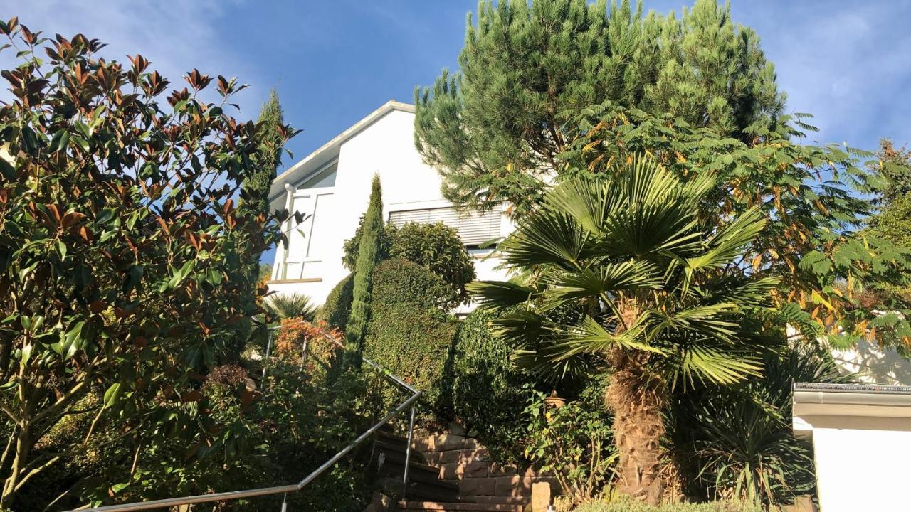 Ferienwohnung Palmenalm Bad Orb Buitenkant foto